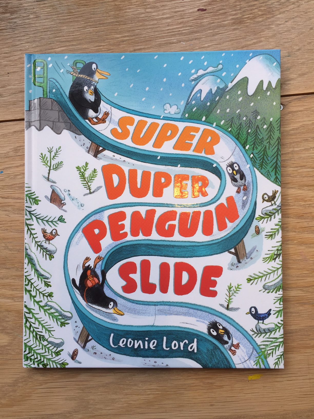 Super Duper Penguin Slide by Leonie Lord