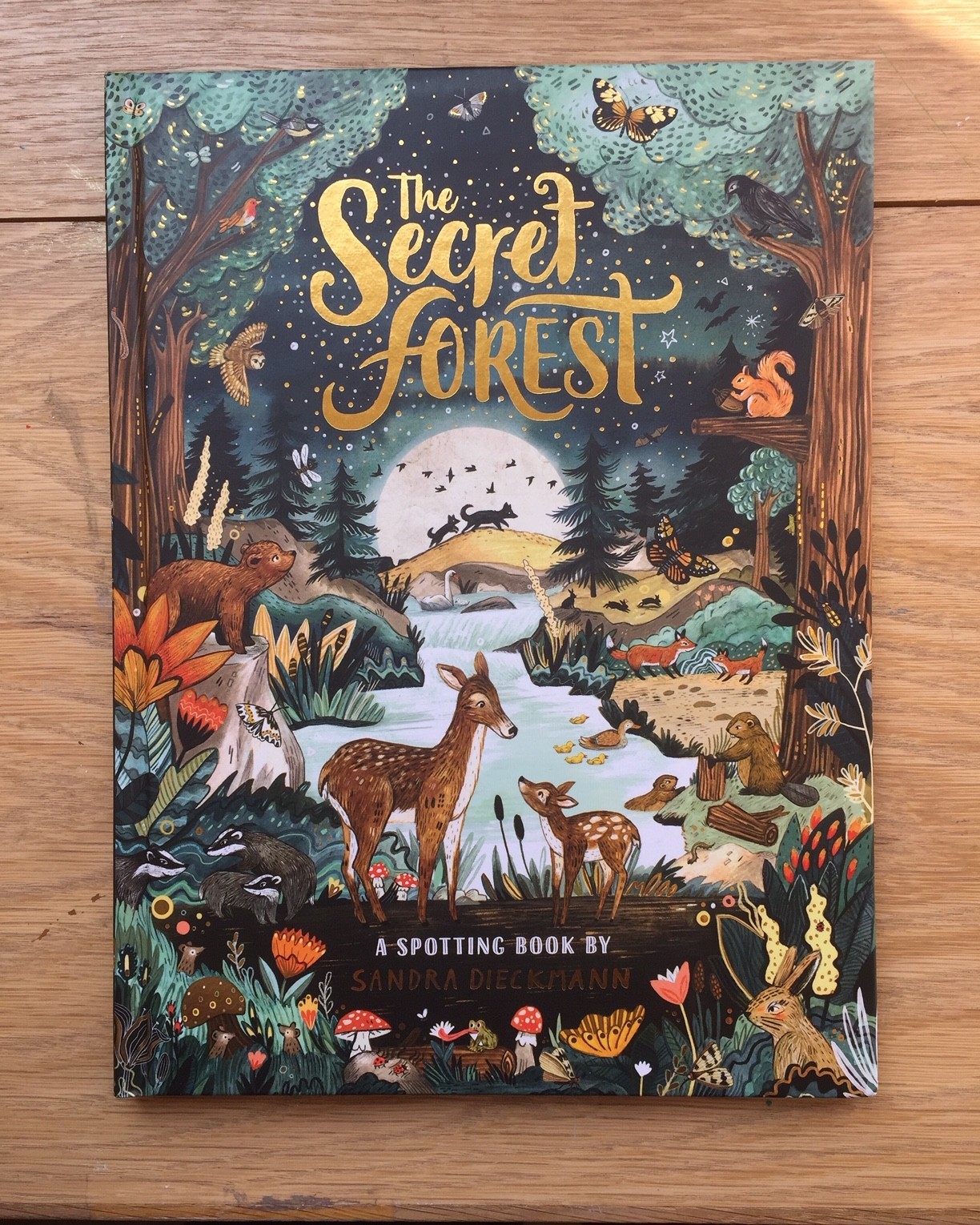 The Secret Forest by Sandra Dieckmann
