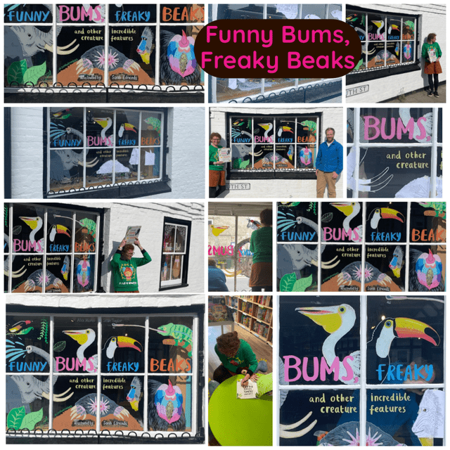 Funny Bums, Freaky Beaks window Display by Sarah Edmonds