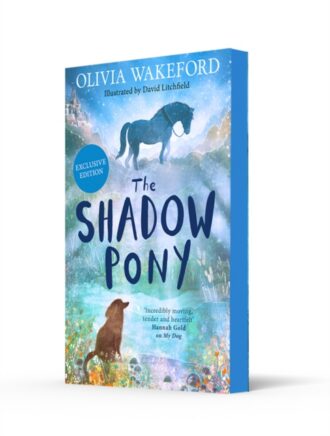 The Shadow Pony