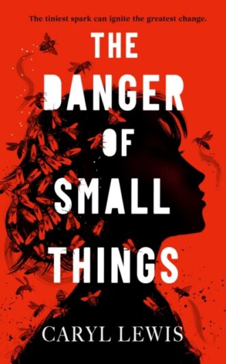 The Danger of Small Things : The YA debut from an award-winning and bestselling Welsh storyteller