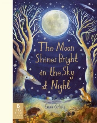 The Moon Shines Bright in the Sky at Night : A beautifully illustrated bedtime story filled with comfort, calm and the magic of nighttime